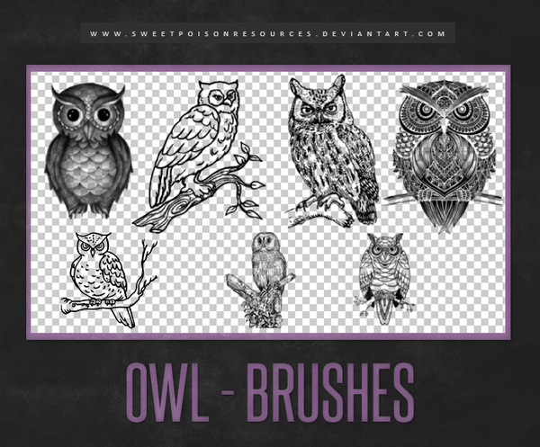 Owl Photoshop Brushes