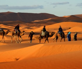 People in the desert experience camel travel Stock Photo 02