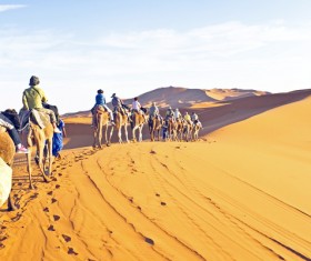 People in the desert experience camel travel Stock Photo 03