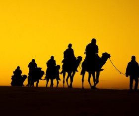 People in the desert experience camel travel Stock Photo 05