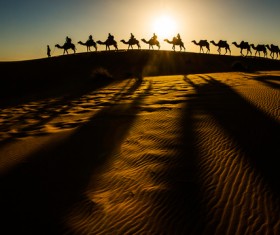 People in the desert experience camel travel Stock Photo 06