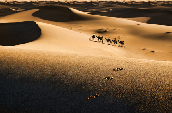 People in the desert experience camel travel Stock Photo 07