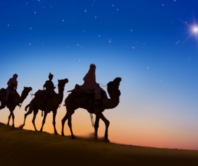 People in the desert experience camel travel Stock Photo 08
