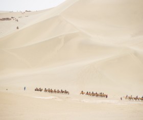 People in the desert experience camel travel Stock Photo 09