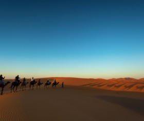 People in the desert experience camel travel Stock Photo 10