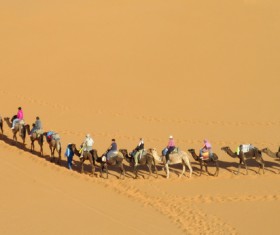 People in the desert experience camel travel Stock Photo 11