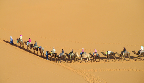 People in the desert experience camel travel Stock Photo 11
