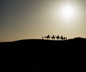 People in the desert experience camel travel Stock Photo 12