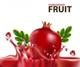 Pomegranate fruit juick splashes vector material 01