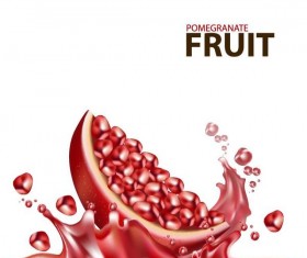 Pomegranate fruit juick splashes vector material 02