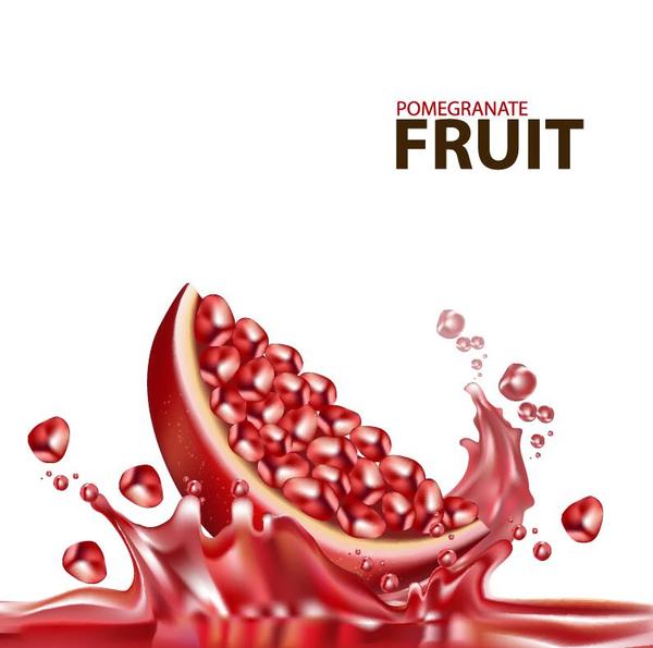 Pomegranate fruit juick splashes vector material 02