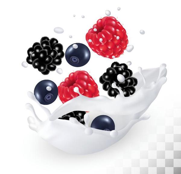 Raspberry and blueberry with blackberry with splash milk vector
