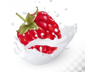 Raspberry with splash milk vector