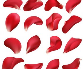 Red flower petal illustration vector 02