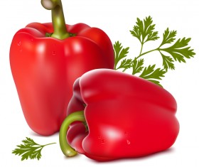 Red pepper vectors