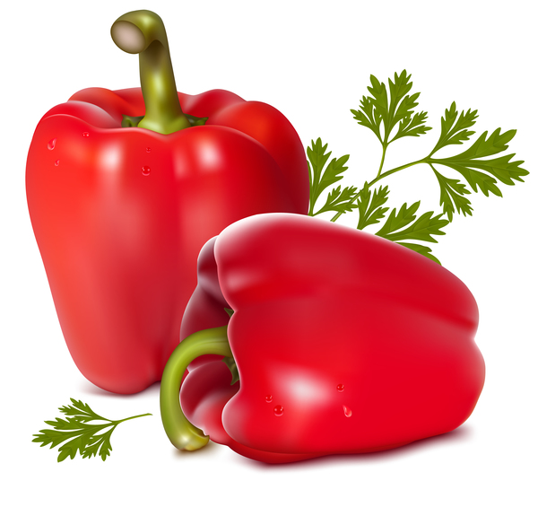 Red pepper vectors