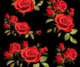Red rose with black background vectors