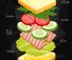 Sandwich ingredients infographic vector 02