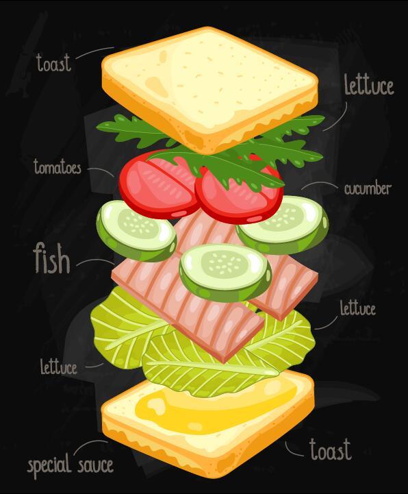 Sandwich ingredients infographic vector 02