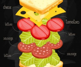 Sandwich ingredients infographic vector 03