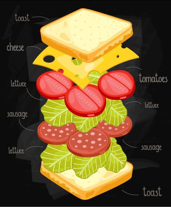 Sandwich ingredients infographic vector 03