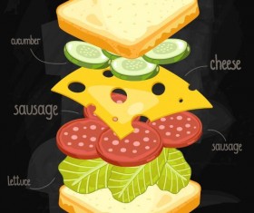 Sandwich ingredients infographic vector 04