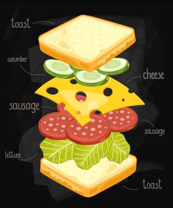 Sandwich ingredients infographic vector 04