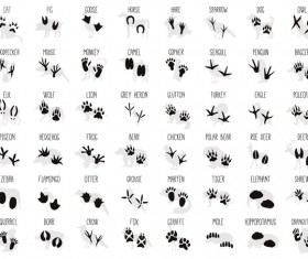 Set of animals footprint vectors
