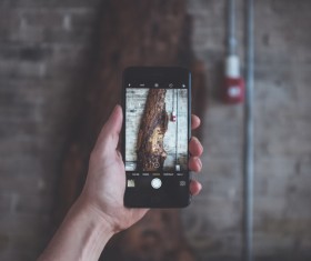 Taking photograph with smartphone Stock Photo