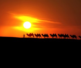 Tuareg Desert Caravan Stock Photo 02