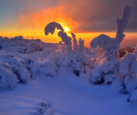 Twilight sunshine and silver white world Stock Photo 01