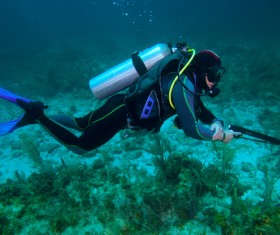 Underwater hunting Stock Photo