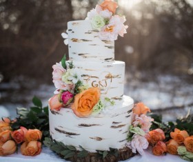 Wedding cake Stock Photo 02