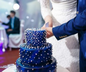 Wedding couple cutting wedding cake Stock Photo