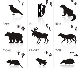 Wild animal with animals footprint vectors 02