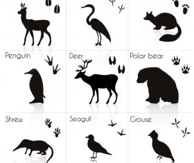 Wild animal with animals footprint vectors 03