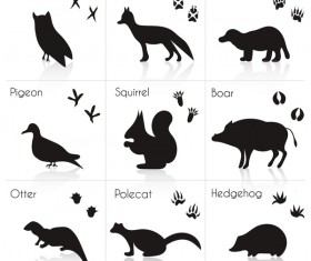 Wild animal with animals footprint vectors 04