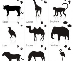 Wild animal with animals footprint vectors 05