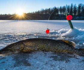 Winter fishing Stock Photo 02