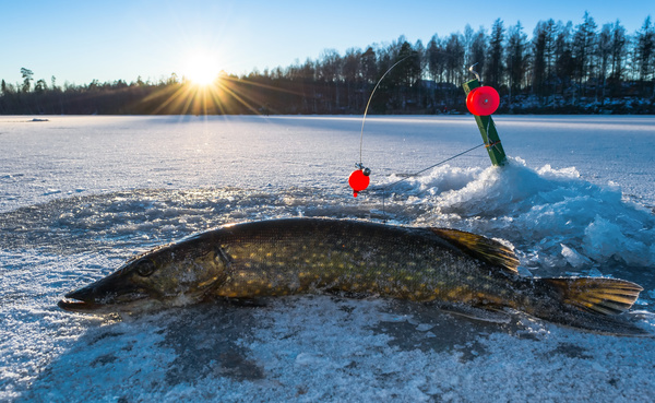 Winter fishing Stock Photo 02