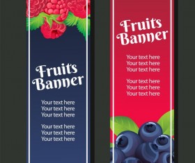 berry vertical banner vector