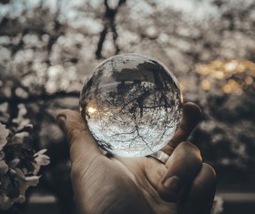 hand holding transparent glass sphere Stock Photo