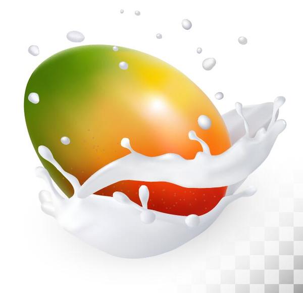 mango with splash milk vector