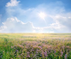 most beautiful scenery of nature Stock Photo 03