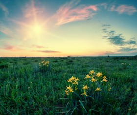 most beautiful scenery of nature Stock Photo 04