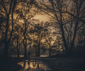 person walking in park at dusk Stock Photo