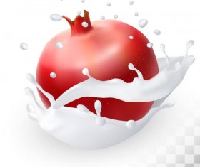 pomegranate with splash milk vector