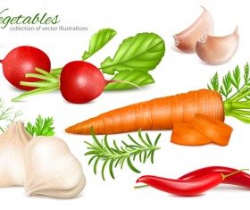 vegetables vector illustration 01