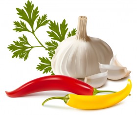 vegetables vector illustration 03