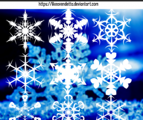 6 Kind Snowflake Photoshop Brushes